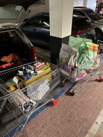 Twee winkelwagentjes gevuld met verschillende artikelen, waaronder dierenvoer en huishoudelijke artikelen, staan naast een open kofferbak in een parkeergarage. Een donkergekleurde auto staat geparkeerd in de aangrenzende ruimte. De kofferbak van de open auto is geladen met tassen, dozen en donatieartikelen zoals dierenvoer. Twee winkelwagentjes gevuld met verschillende artikelen, waaronder dierenvoer en huishoudelijke artikelen, staan naast een open kofferbak in een parkeergarage. Een donkergekleurde auto staat geparkeerd in de aangrenzende ruimte. De kofferbak van de open auto is geladen met tassen, dozen en donatieartikelen zoals dierenvoer.